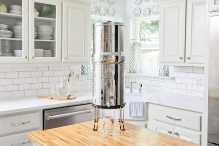ROYAL BERKEY® SYSTEM (3.25 GAL)