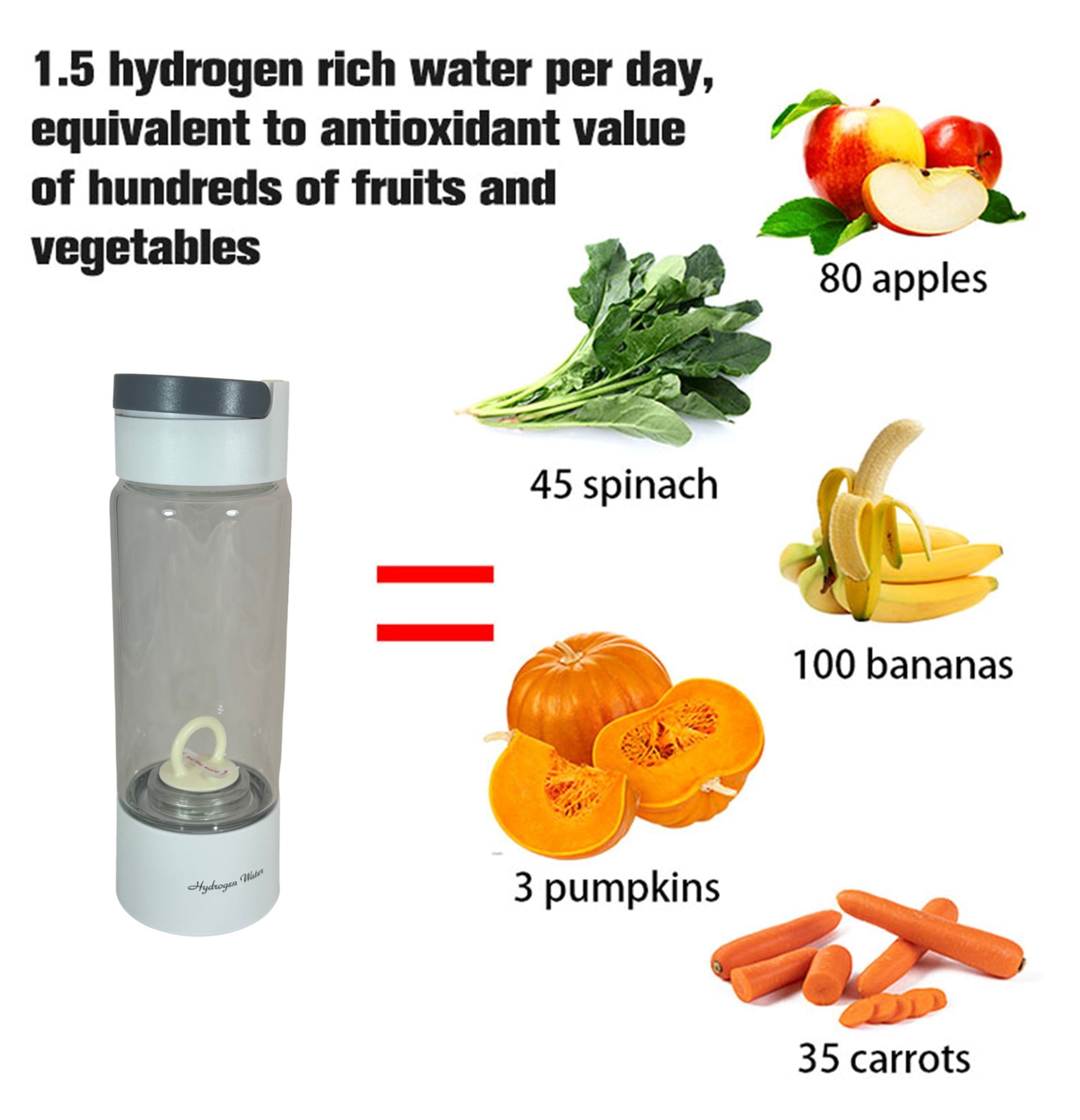 Hydrogen Water Bottle